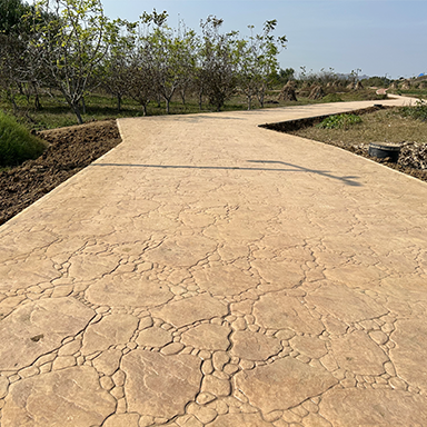 Middle East Construction Outlook Remains Strong